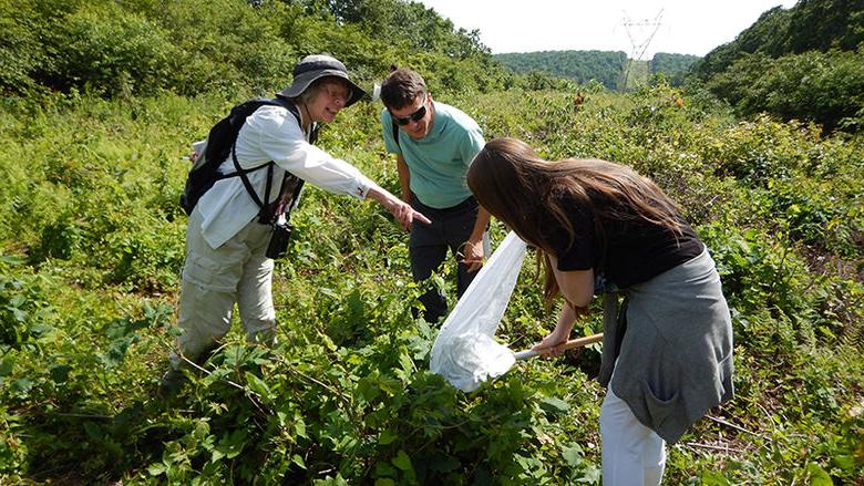 Dr. 加布里埃尔圆锥形石垒, visiting assistant professor at Ohio State University, and writer and naturalist Marcia Bonta watch Elanor Bonta collect a bee.