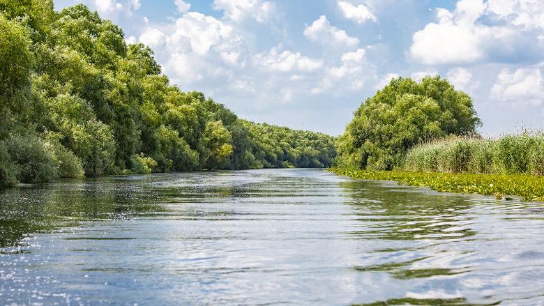 野鸟天堂-罗马尼亚多瑙河-三角洲, 从船上看到的水世界里的自然是纯净的.